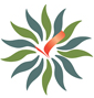 Arunachal University of Studies Logo in jpg, png, gif format